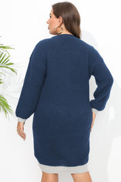 Plus Size Long Sleeve Sweater Dress - Amara Luxe Fine Boutique
