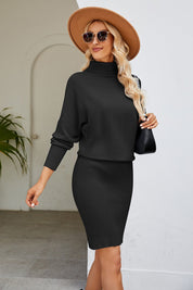 Ribbed Mock Neck Long Sleeve Dress - Amara Luxe Fine Boutique