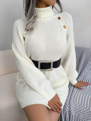 Decorative Button Turtleneck Sweater Dress - Amara Luxe Fine Boutique
