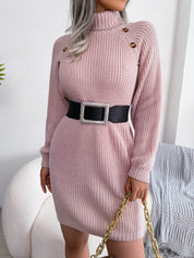 Decorative Button Turtleneck Sweater Dress - Amara Luxe Fine Boutique