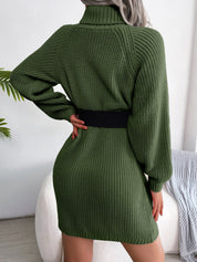 Decorative Button Turtleneck Sweater Dress - Amara Luxe Fine Boutique