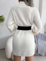 Decorative Button Turtleneck Sweater Dress - Amara Luxe Fine Boutique