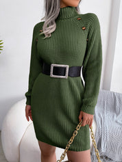 Decorative Button Turtleneck Sweater Dress - Amara Luxe Fine Boutique