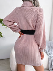 Decorative Button Turtleneck Sweater Dress - Amara Luxe Fine Boutique