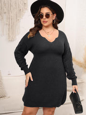 Plus Size Dropped Shoulder Long Sleeve Knit Mini Dress - Amara Luxe Fine Boutique